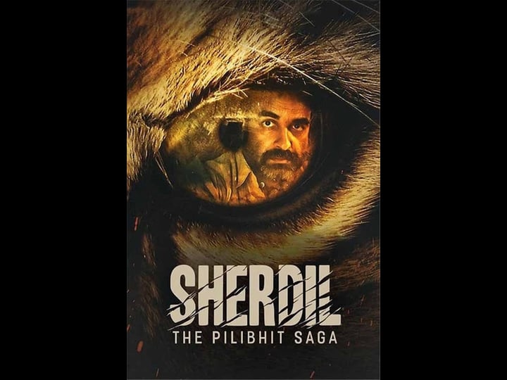 sherdil-4452557-1