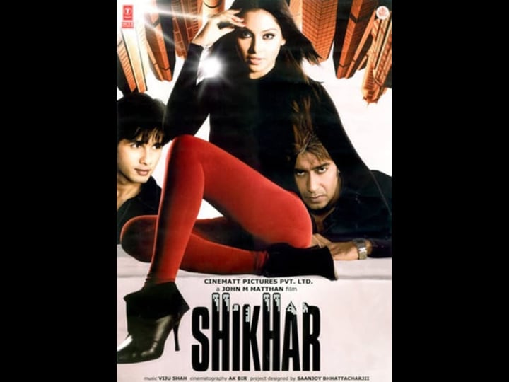 shikhar-4408803-1
