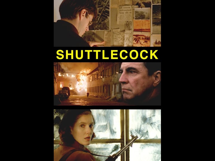 shuttlecock-2184180-1