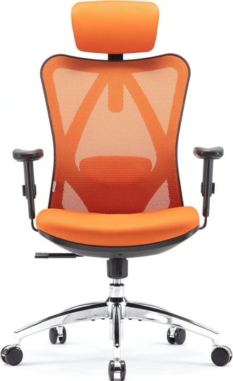 sihoo-m18-ergonomic-office-chair-for-big-and-tall-people-adjustable-headrest-with-2d-armrest-lumbar--1