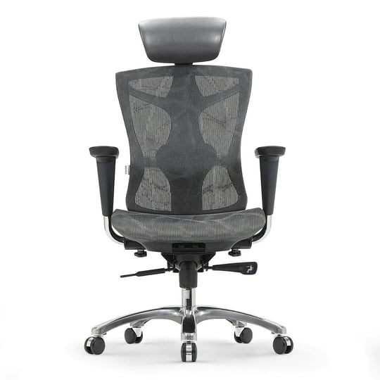 sihoo-v1-ergonomic-office-chair-high-back-computer-desk-chair-office-chair-grey-1
