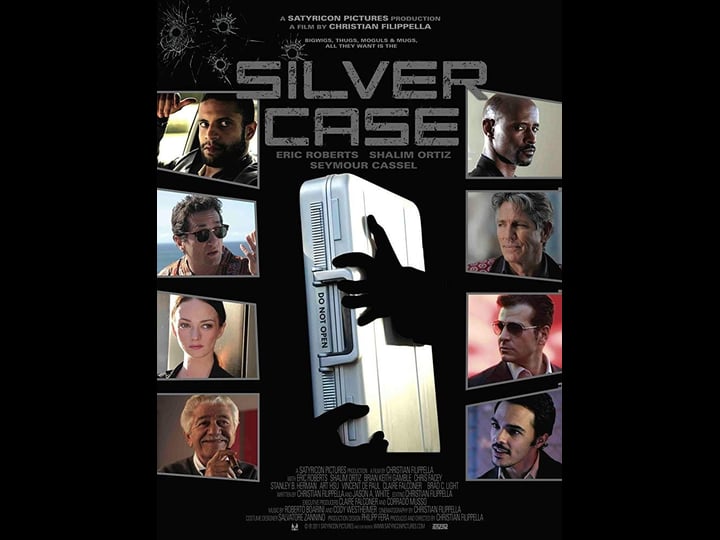 silver-case-tt1666792-1