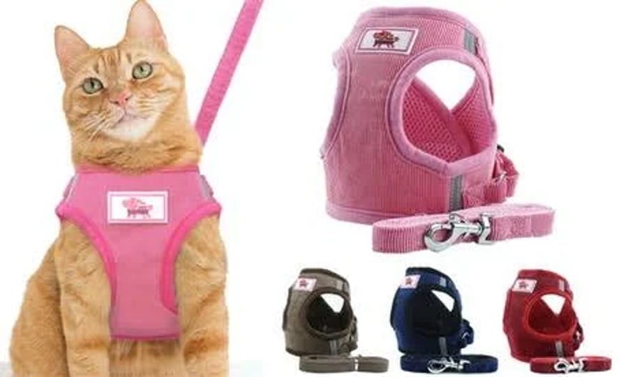 sixtyshadesofgrey-small-medium-dogs-cats-walking-harness-vest-leash-set-xl-red-3-94feet-1