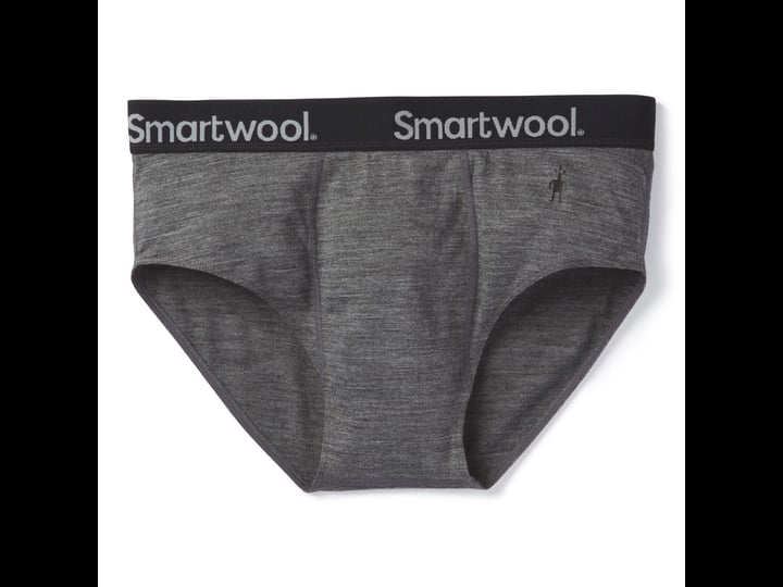 smartwool-mens-merino-sport-150-brief-boxed-medium-gray-1