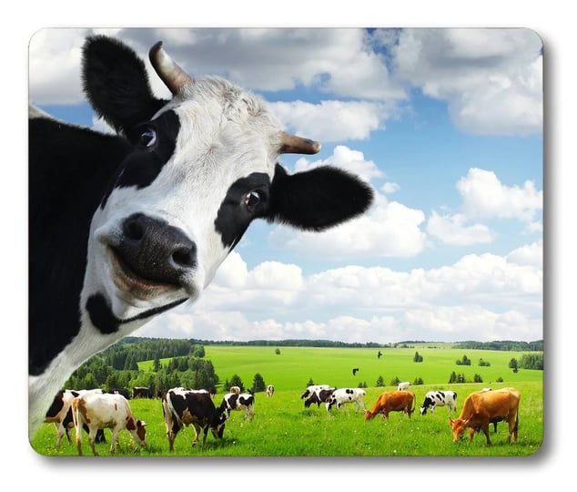 10 Top Cow Mouse Pads for Your Desk - Add Style and Comfort to Your Workspace