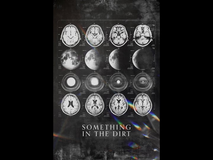 something-in-the-dirt-4444053-1