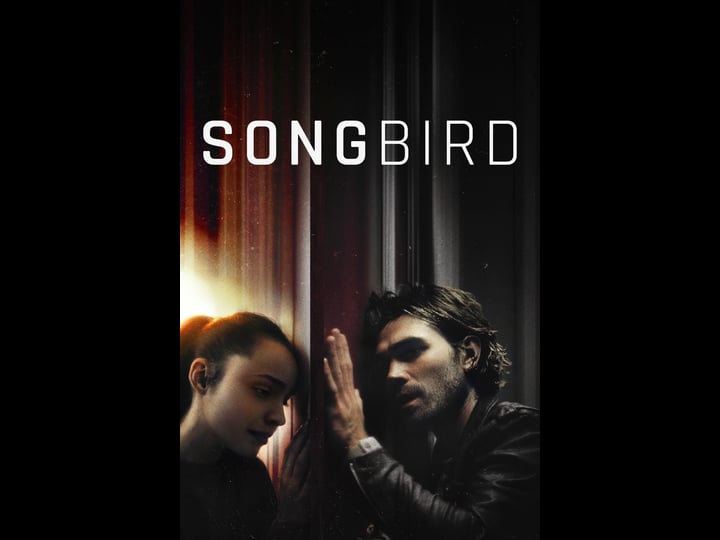 songbird-tt12592252-1