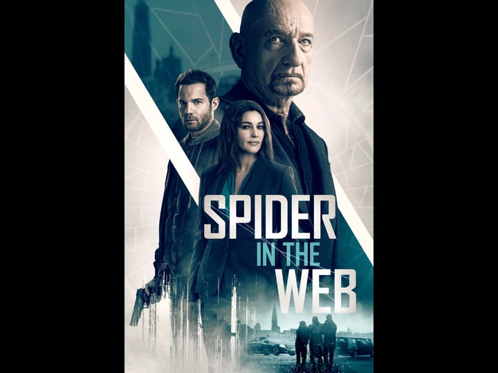 spider-in-the-web-tt7942736-1