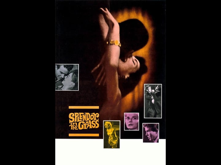 splendor-in-the-grass-tt0055471-1