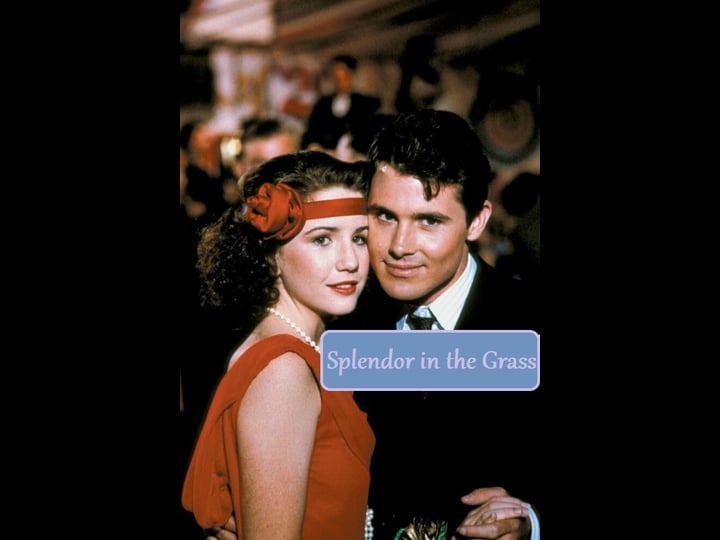 splendor-in-the-grass-tt0083115-1