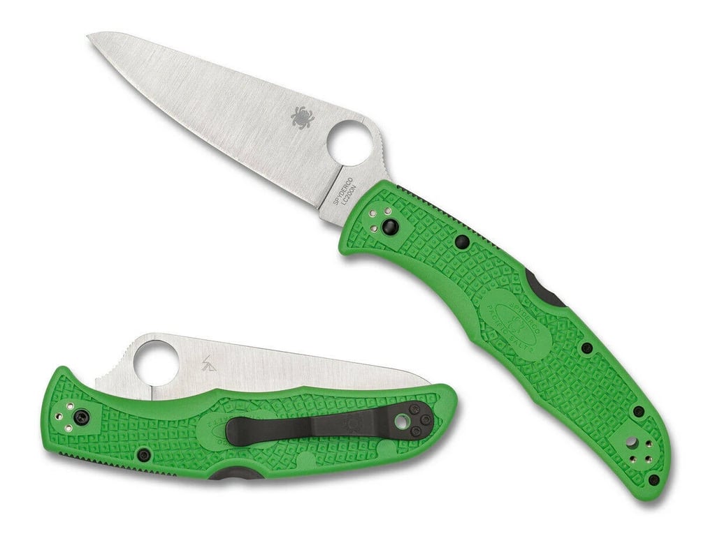 spyderco-91fpgr2-pacific-salt-2-lockback-green-1