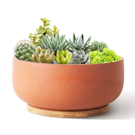 sqowl-terracotta-planter-pot-for-succulent-8-inch-pottery-pot-round-planter-cactus-clay-flower-pot-w-1