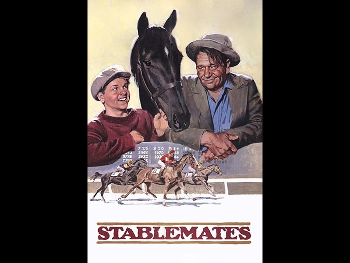 stablemates-1236390-1