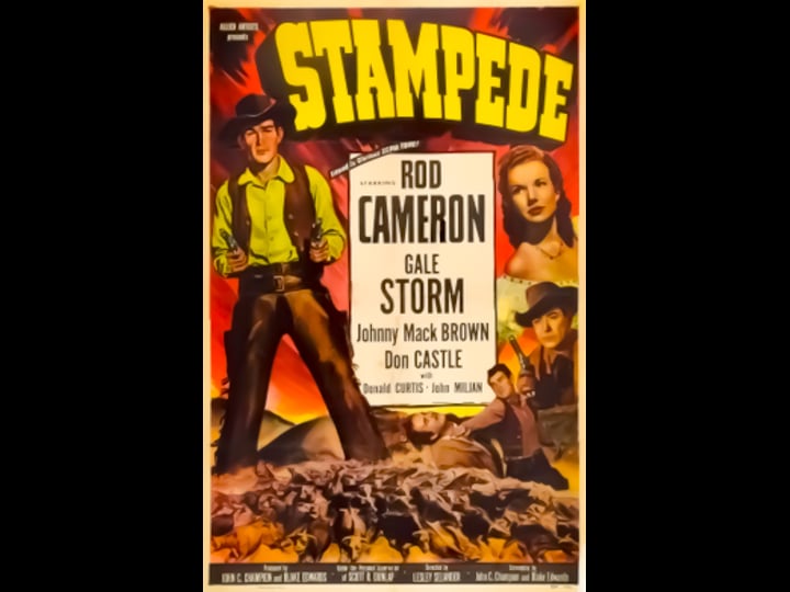 stampede-2500576-1