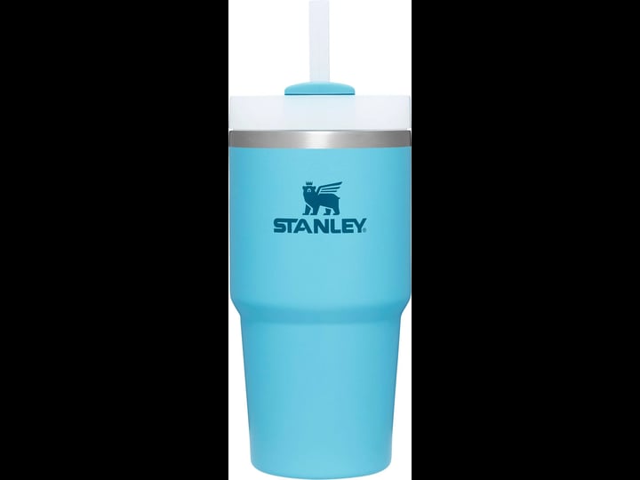 stanley-20-oz-quencher-h2-0-flowstate-tumbler-pool-1