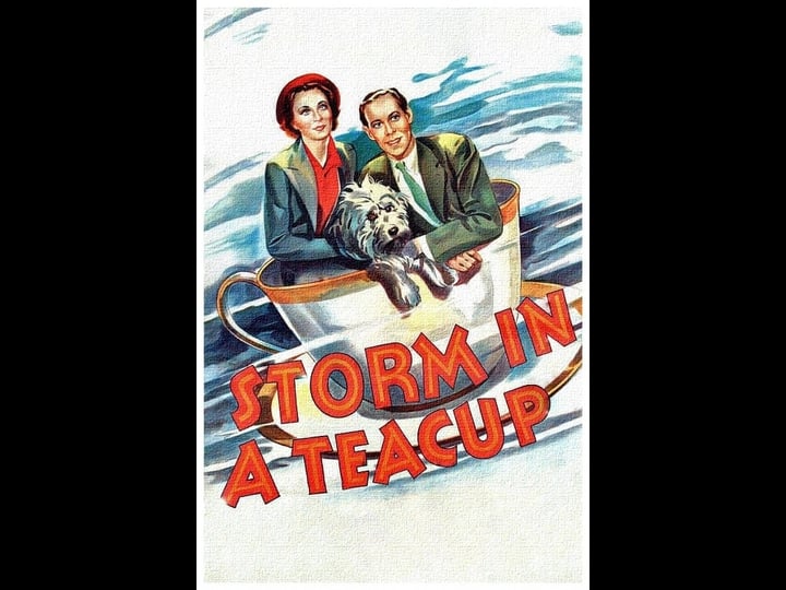 storm-in-a-teacup-tt0029611-1