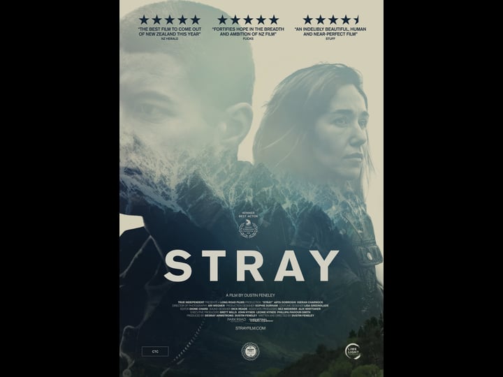 stray-tt6074820-1