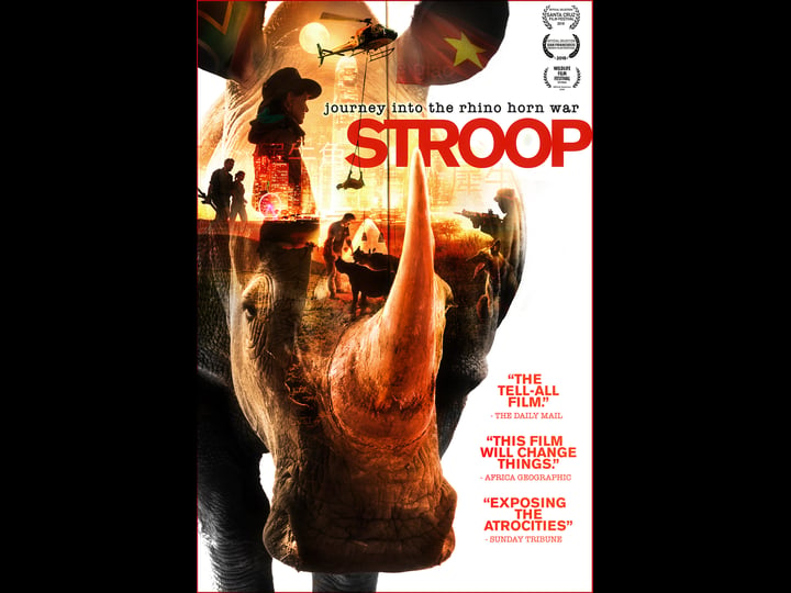 stroop-journey-into-the-rhino-horn-war-4443680-1