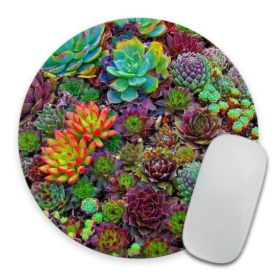 succulent-print-circle-mouse-pad-mousepad-coworker-teacher-gift-colorful-s-1