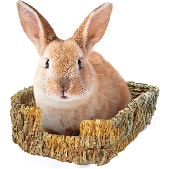 sungrow-rabbit-guinea-pig-grass-bed-1