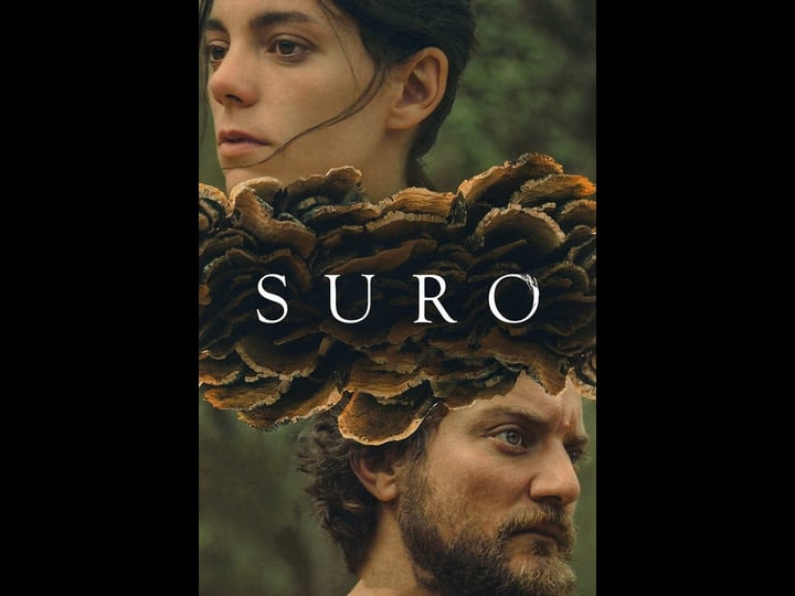suro-4312674-1