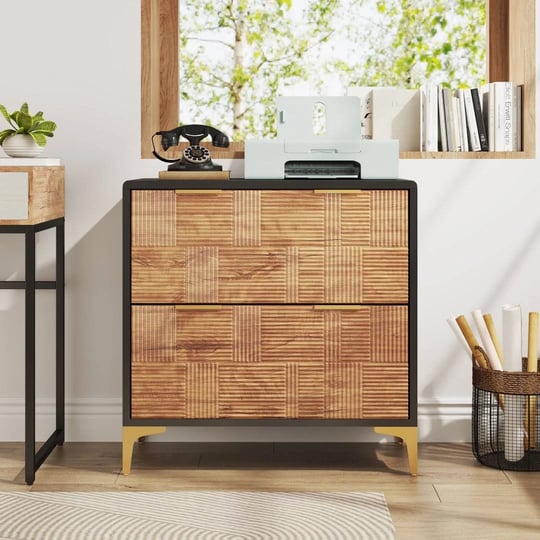 tavain-31-5-wide-2-drawer-file-cabinet-mercer41-1