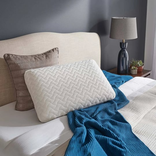 tempur-pedic-tempur-cloud-pillow-standard-1