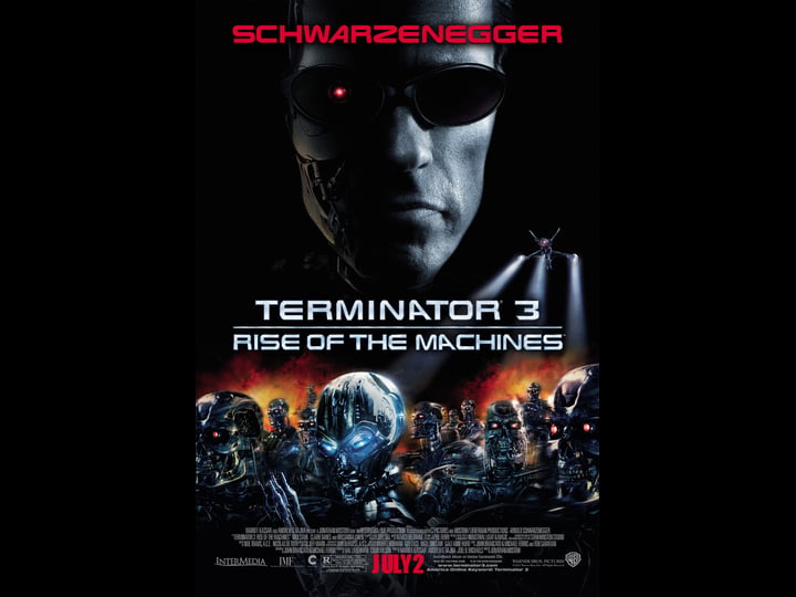 terminator-3-terminatorvision-tt6037166-1
