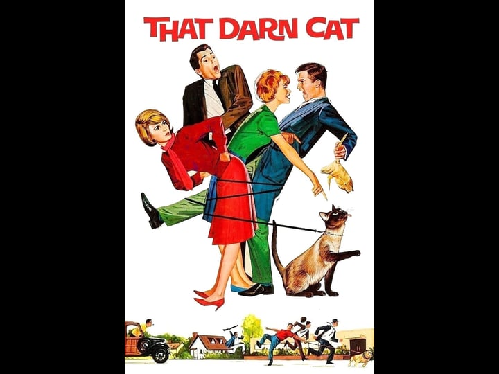 that-darn-cat-tt0059793-1