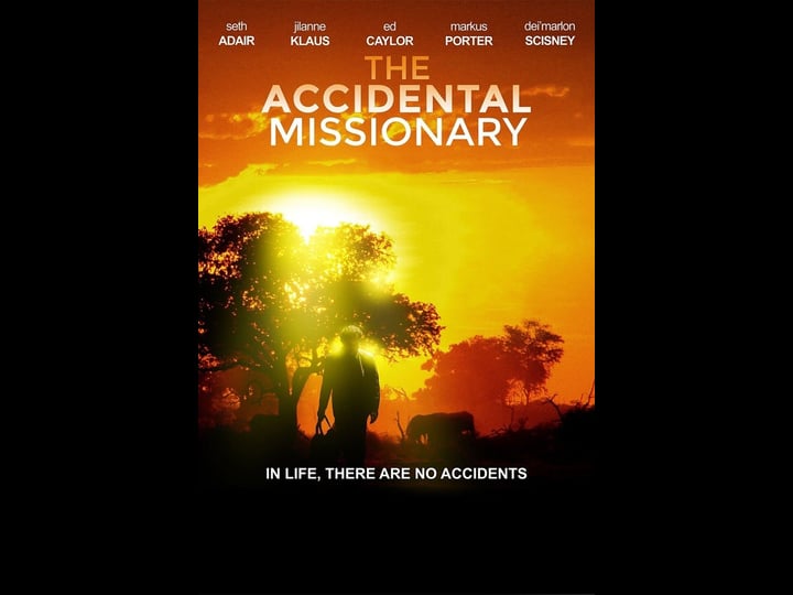 the-accidental-missionary-1779802-1