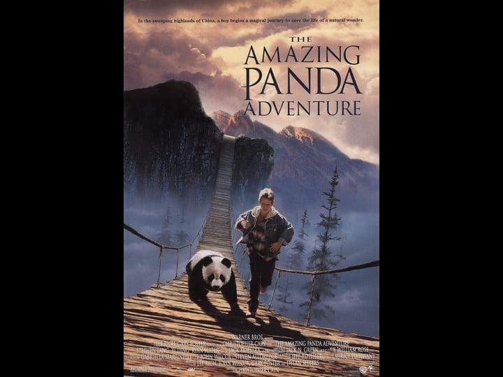 the-amazing-panda-adventure-tt0112342-1