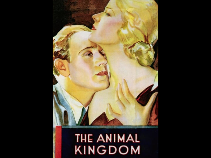the-animal-kingdom-4321458-1