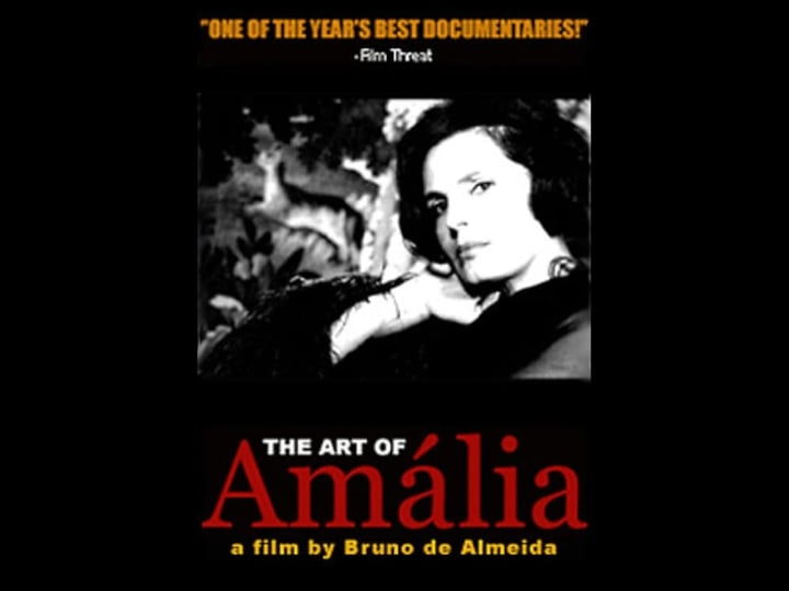 the-art-of-am-lia-tt0204839-1