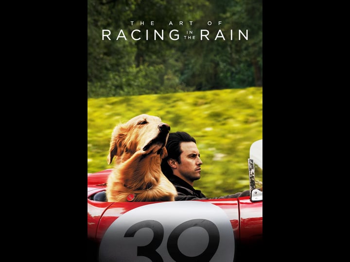 the-art-of-racing-in-the-rain-tt1478839-1