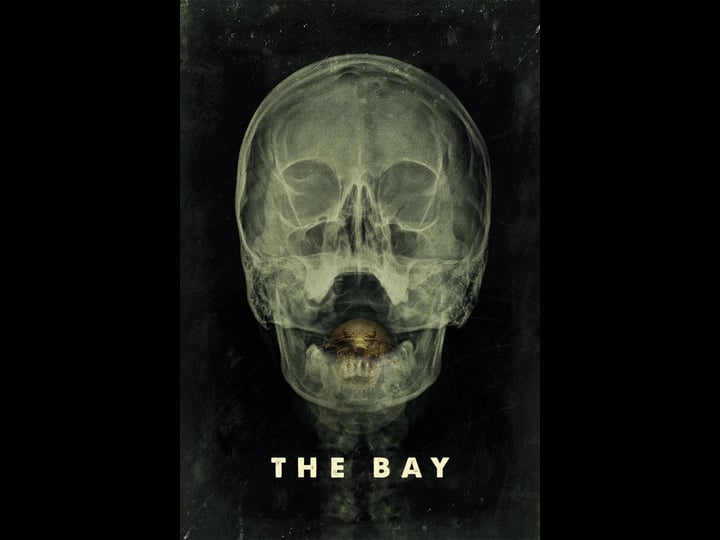 the-bay-4319355-1