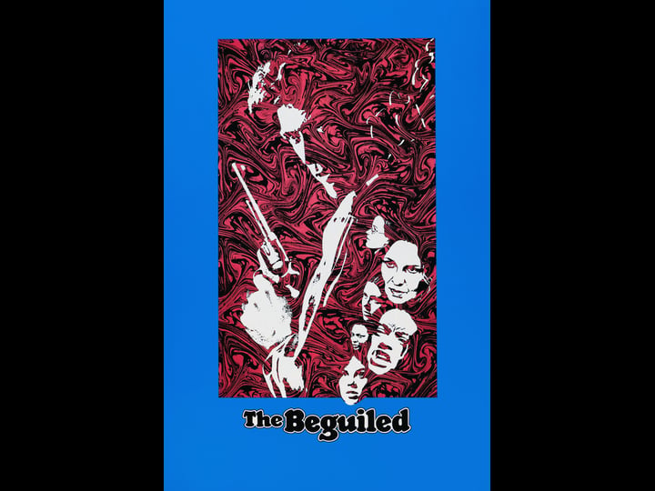 the-beguiled-tt0066819-1