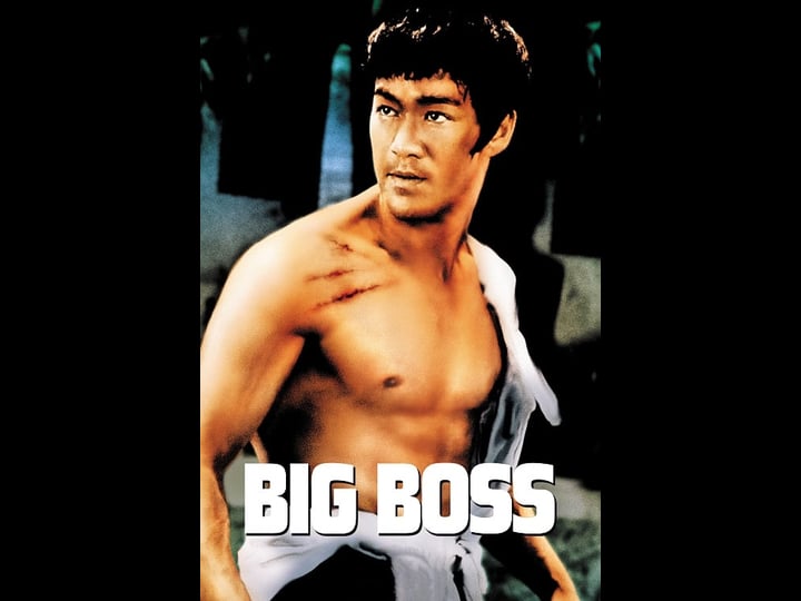 the-big-boss_tt0067824-1