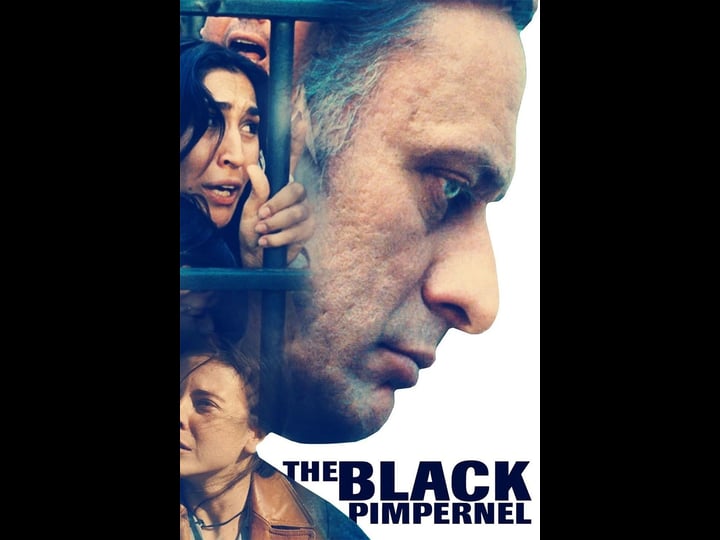 the-black-pimpernel-4348840-1