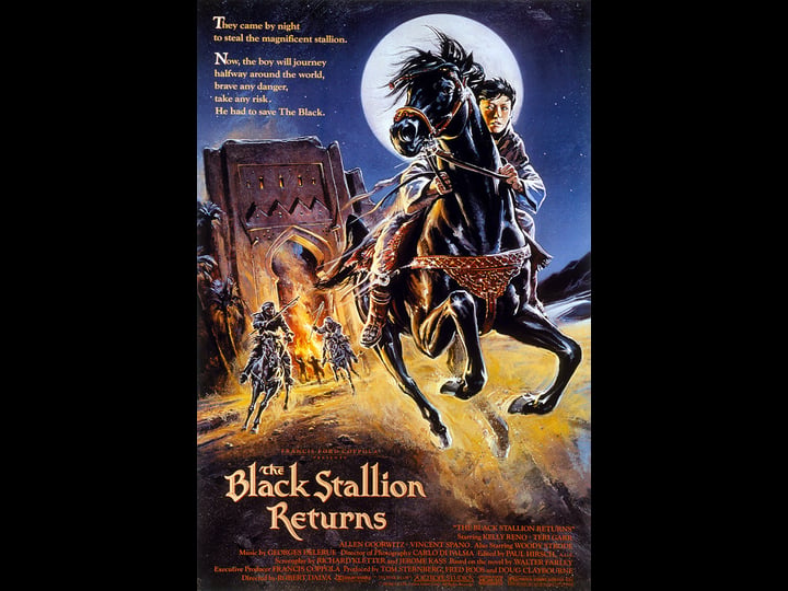 the-black-stallion-returns-769306-1