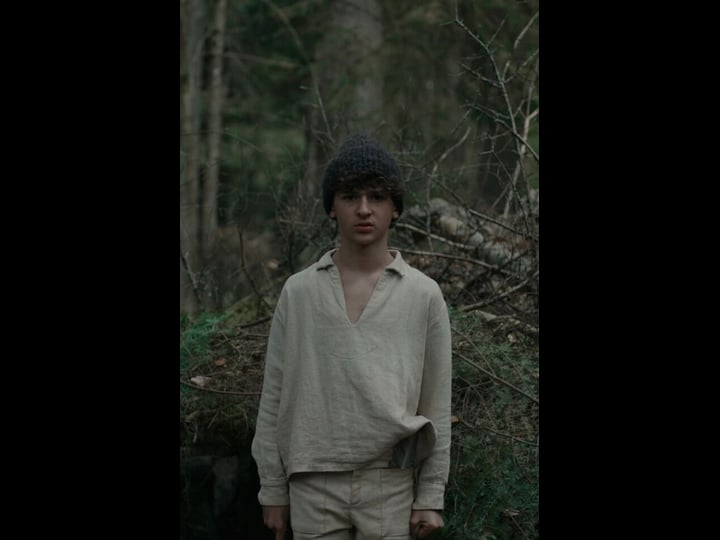 the-boy-in-the-woods-4354793-1