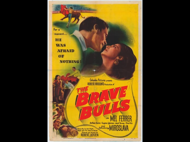 the-brave-bulls-1237668-1