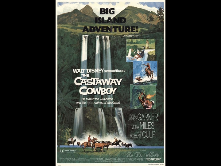 the-castaway-cowboy-1311914-1