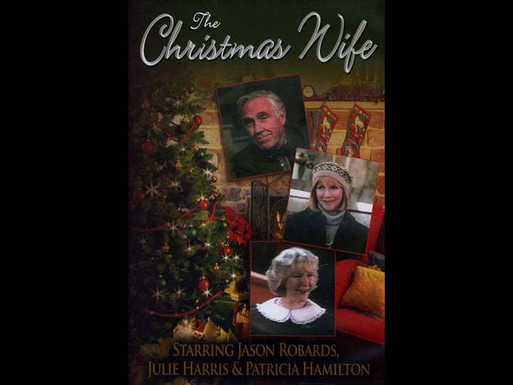 the-christmas-wife-tt0094873-1