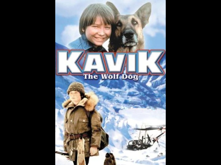 the-courage-of-kavik-the-wolf-dog-tt0080566-1