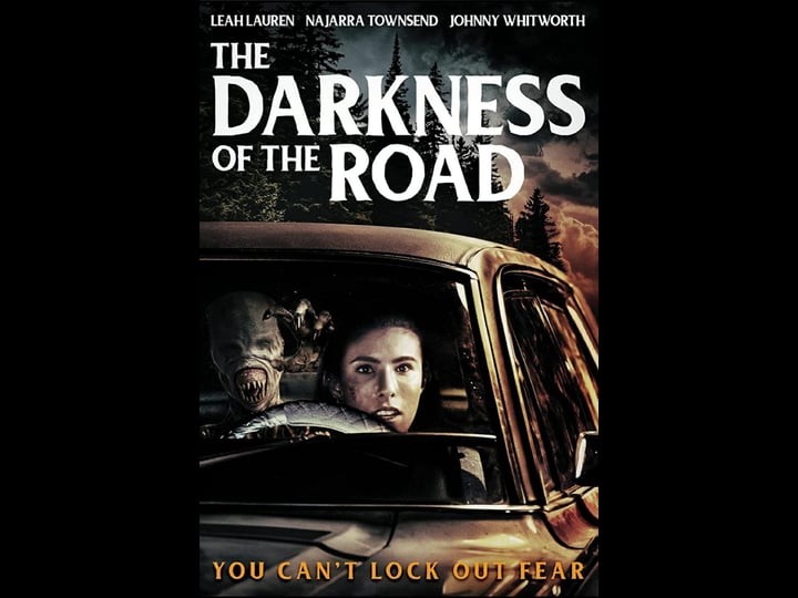 the-darkness-of-the-road-4469967-1