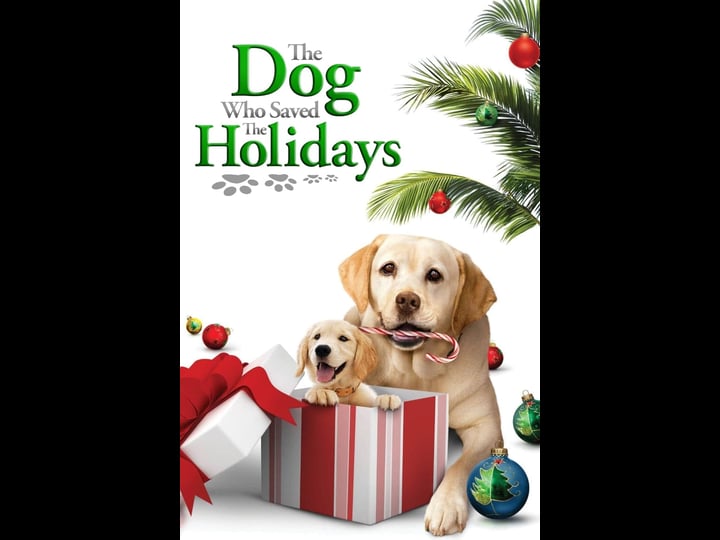 the-dog-who-saved-the-holidays-tt2294853-1