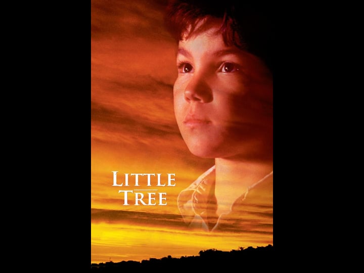 the-education-of-little-tree-tt0119052-1