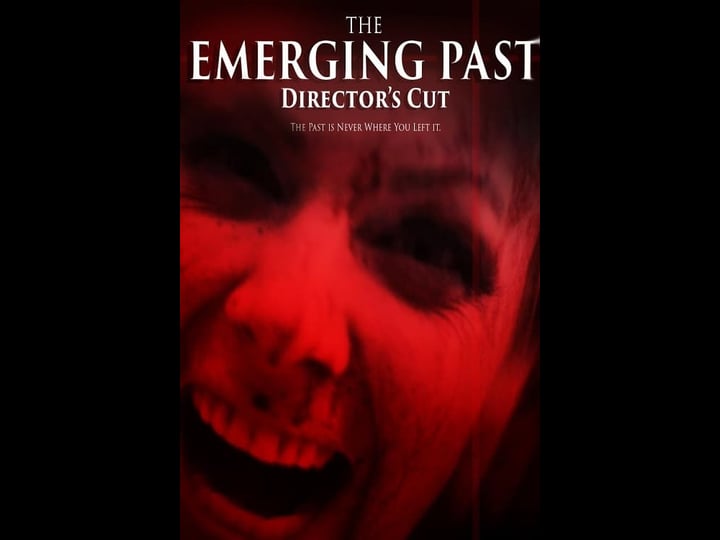 the-emerging-past-directors-cut-4325486-1