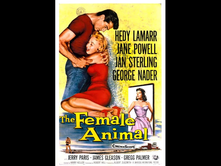 the-female-animal-tt0050385-1