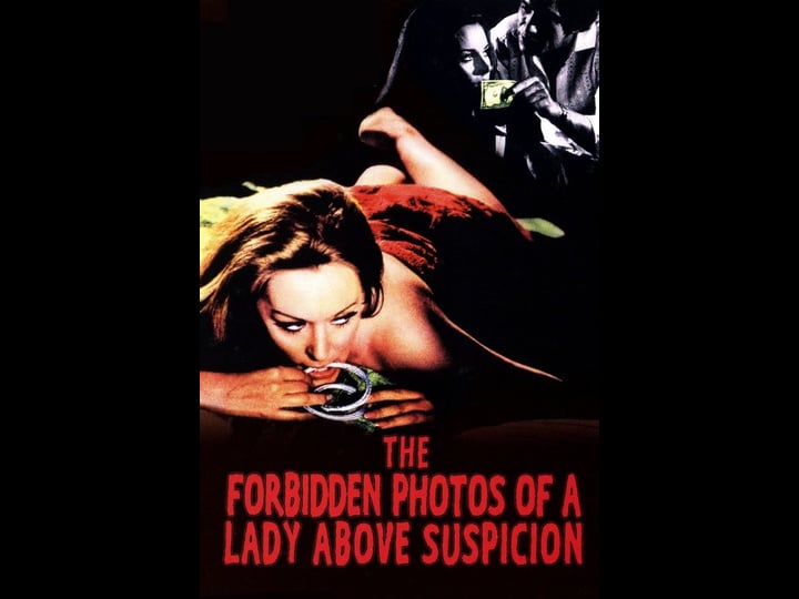 the-forbidden-photos-of-a-lady-above-suspicion-1580768-1